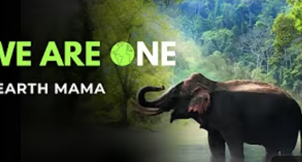 We are One (Music Video by Joyce Rouse)